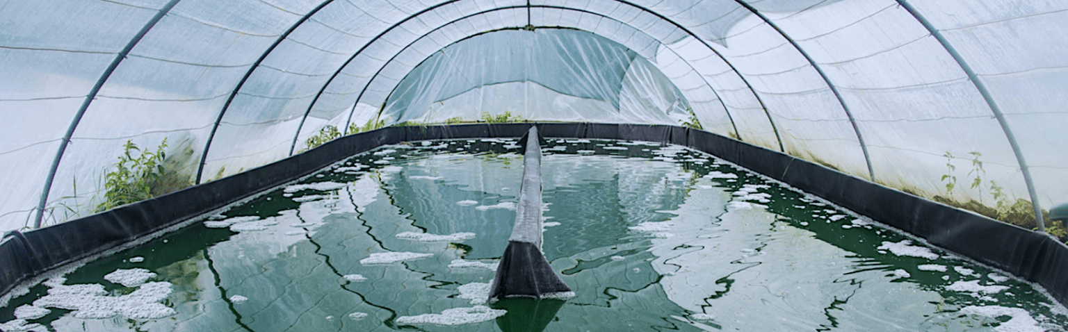 Akal Food Ferme Fleur De Spiruline Saint Pierre Azif